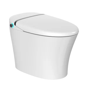 Bồn cầu thông minh EG3TZ001M/L