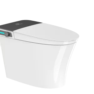 Bồn cầu thông minh EG3TZ029M/L